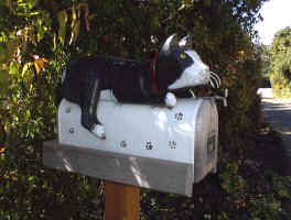 Mailbox with Cat and Paw Prints
